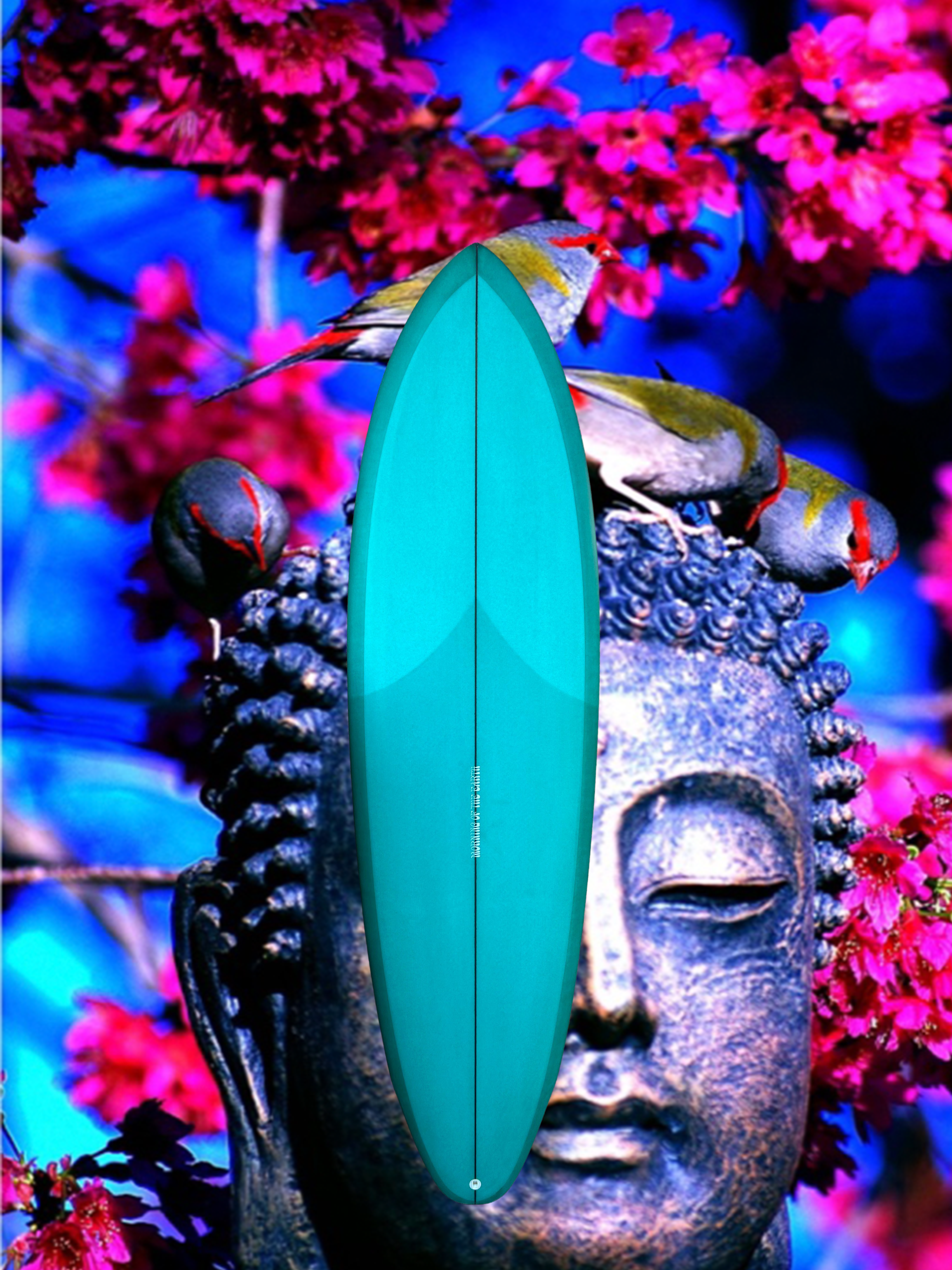 Morning Of The Earth Surfboards